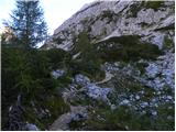 Uskovnica (Razpotje) - Triglav